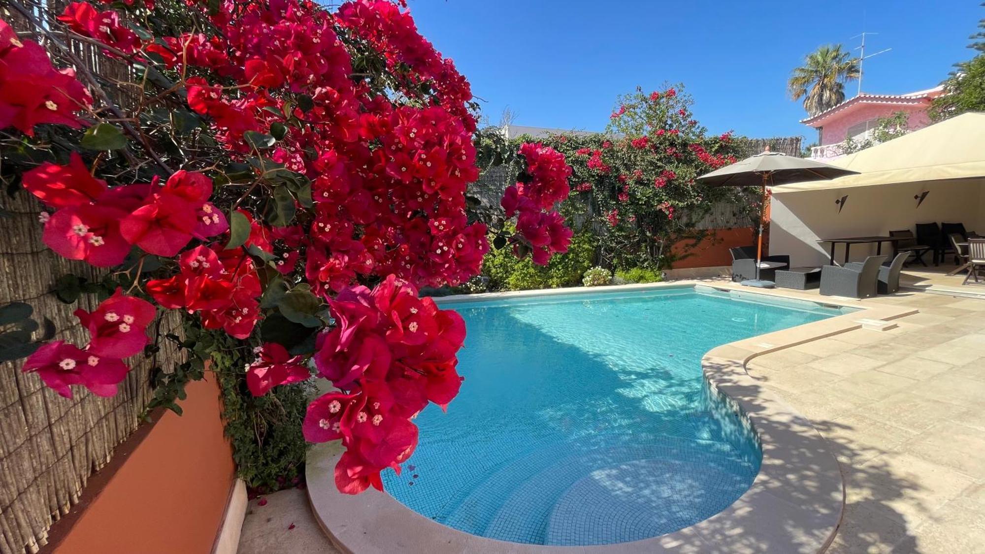 Studio With Private Swimming Pool And Garden Cascaes Exterior foto
